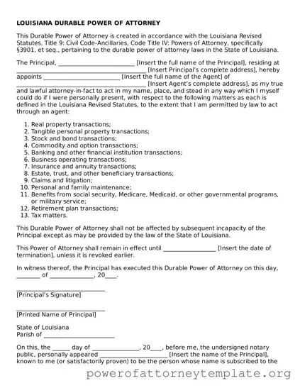 Legal Louisiana Durable Power of Attorney Template